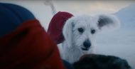 Krypto the Superdog (Image via YouTube/@DC)